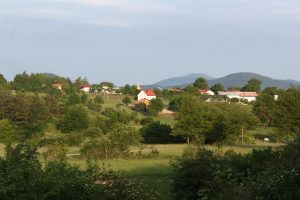 Pivka